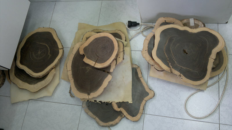 LABORATORIOSipe