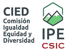 Imagen1